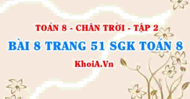 Bài 8 trang 51 Toán 8 Chân trời sáng tạo Tập 2